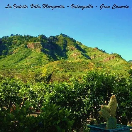 La Vedette Margarita